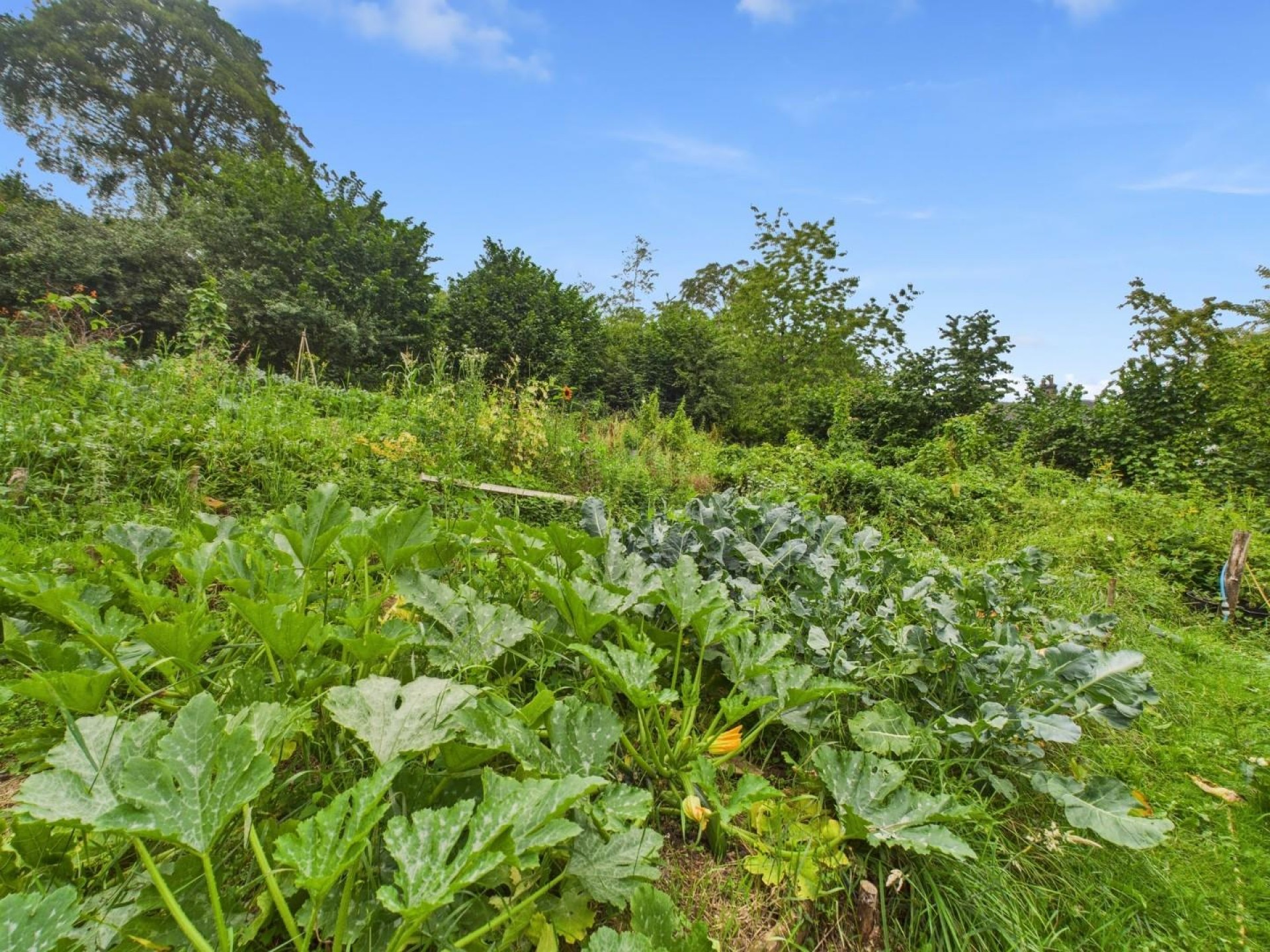 Images for Atlow Moat, Atlow, Ashbourne