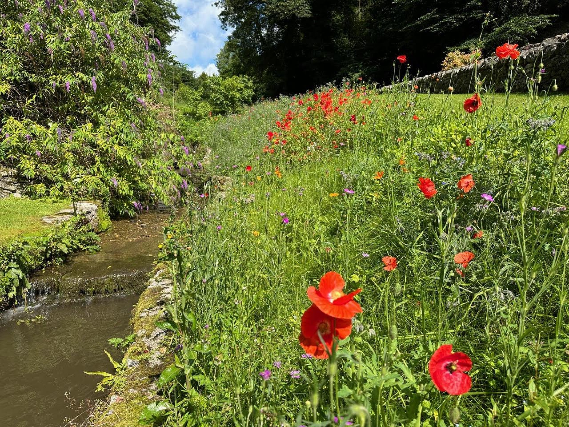 Images for Clatterway, Bonsall, Matlock