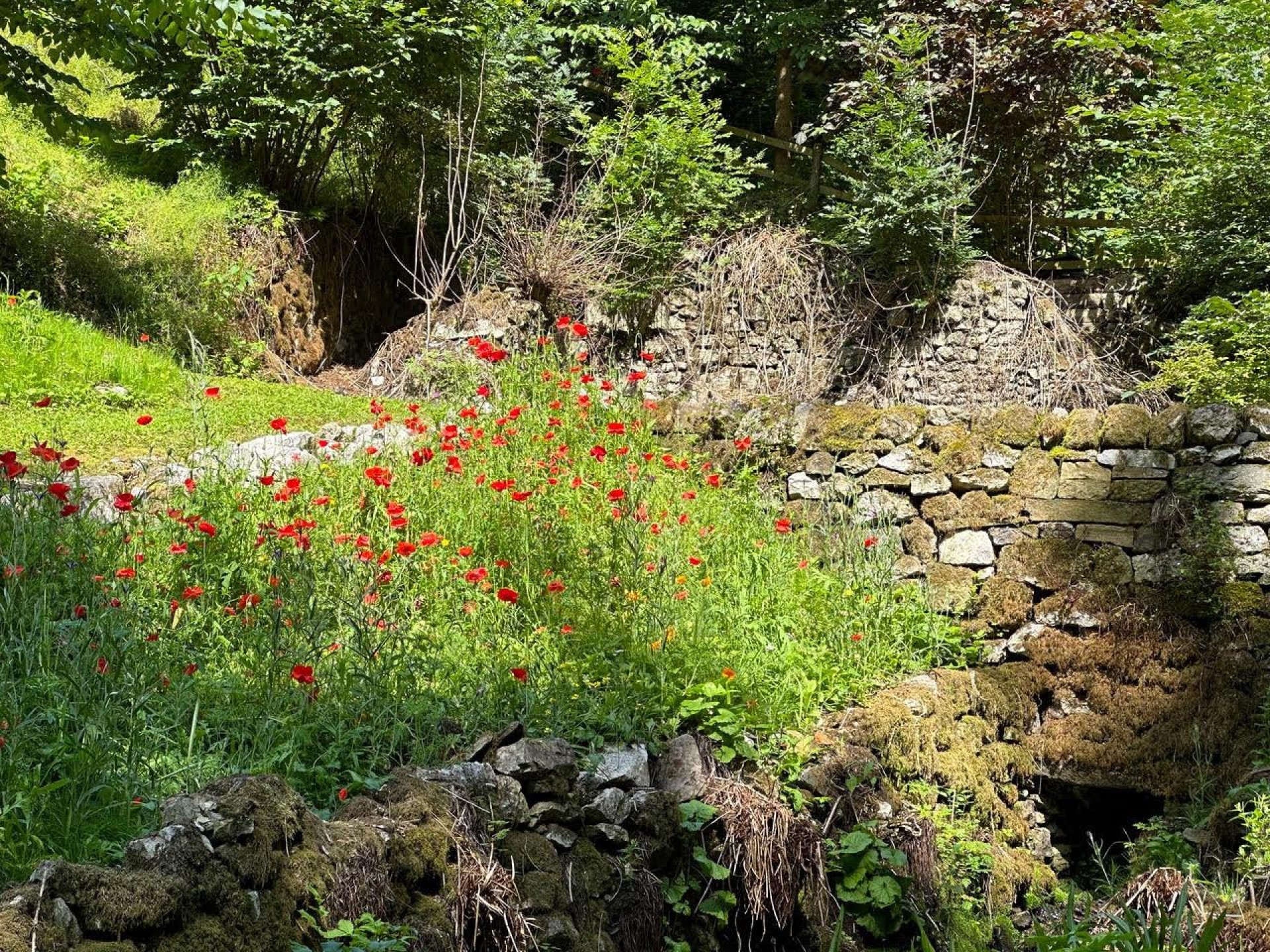 Images for Clatterway, Bonsall, Matlock