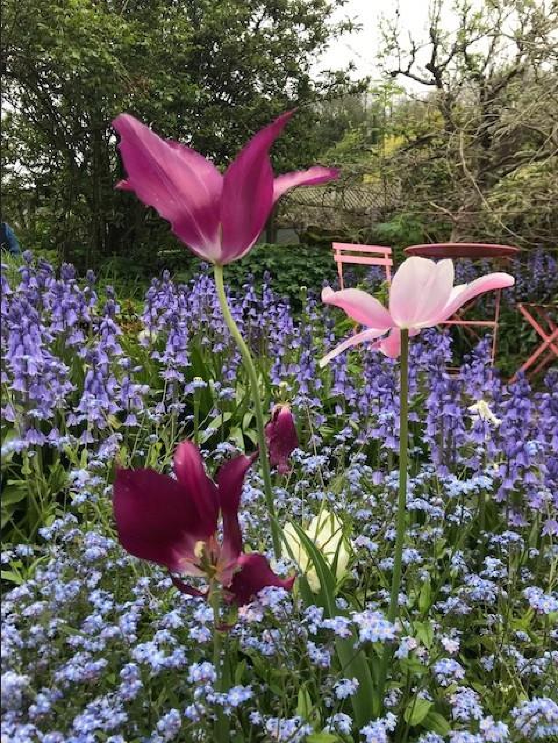 Images for Ember Lane, Bonsall, Nr Matlock