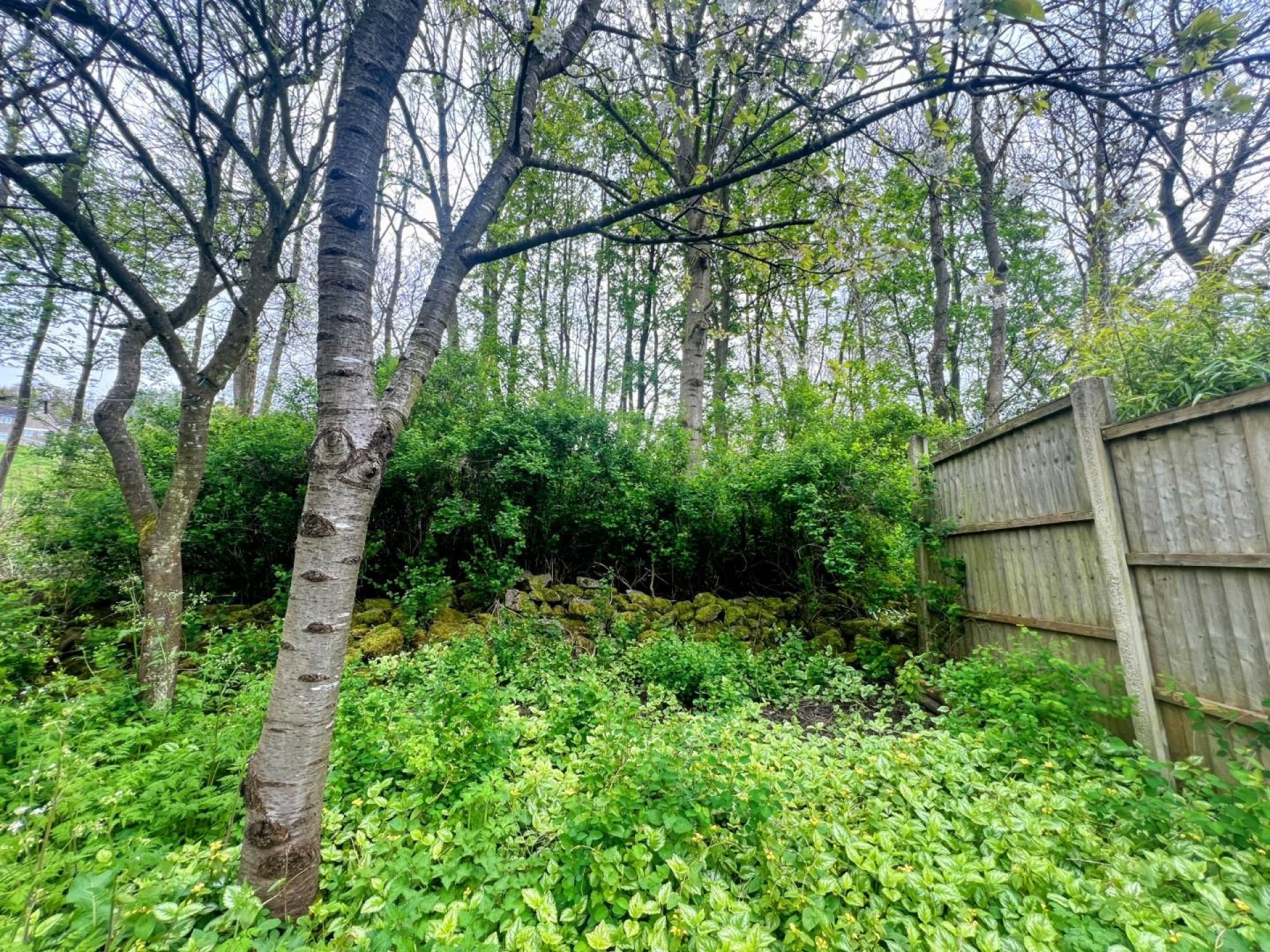 Images for Steeple Grange, Wirksworth