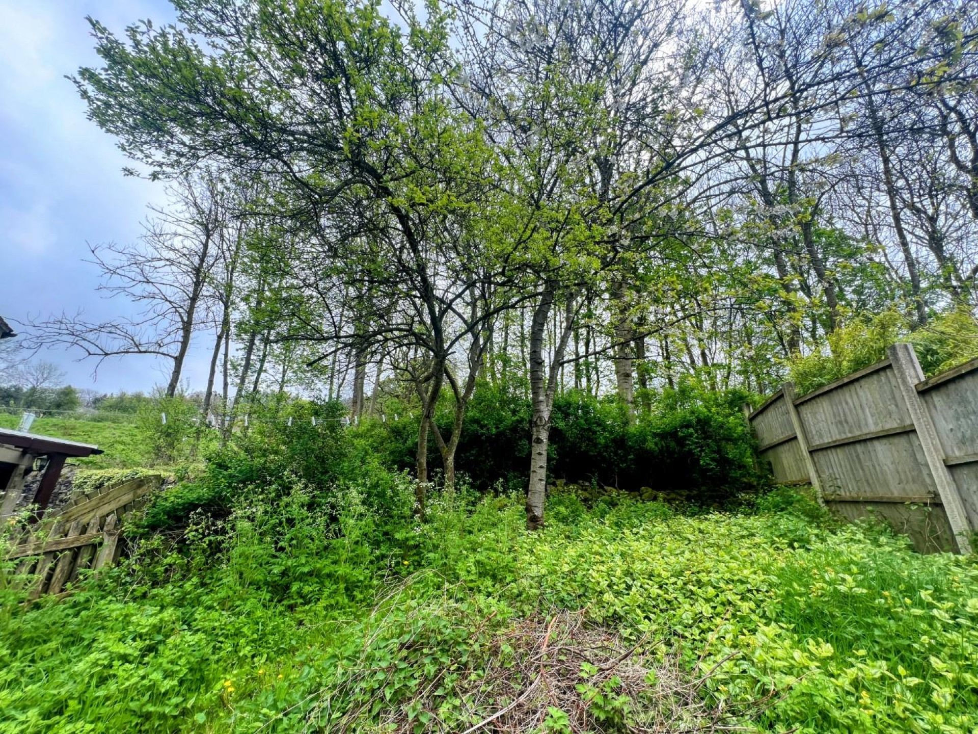 Images for Steeple Grange, Wirksworth