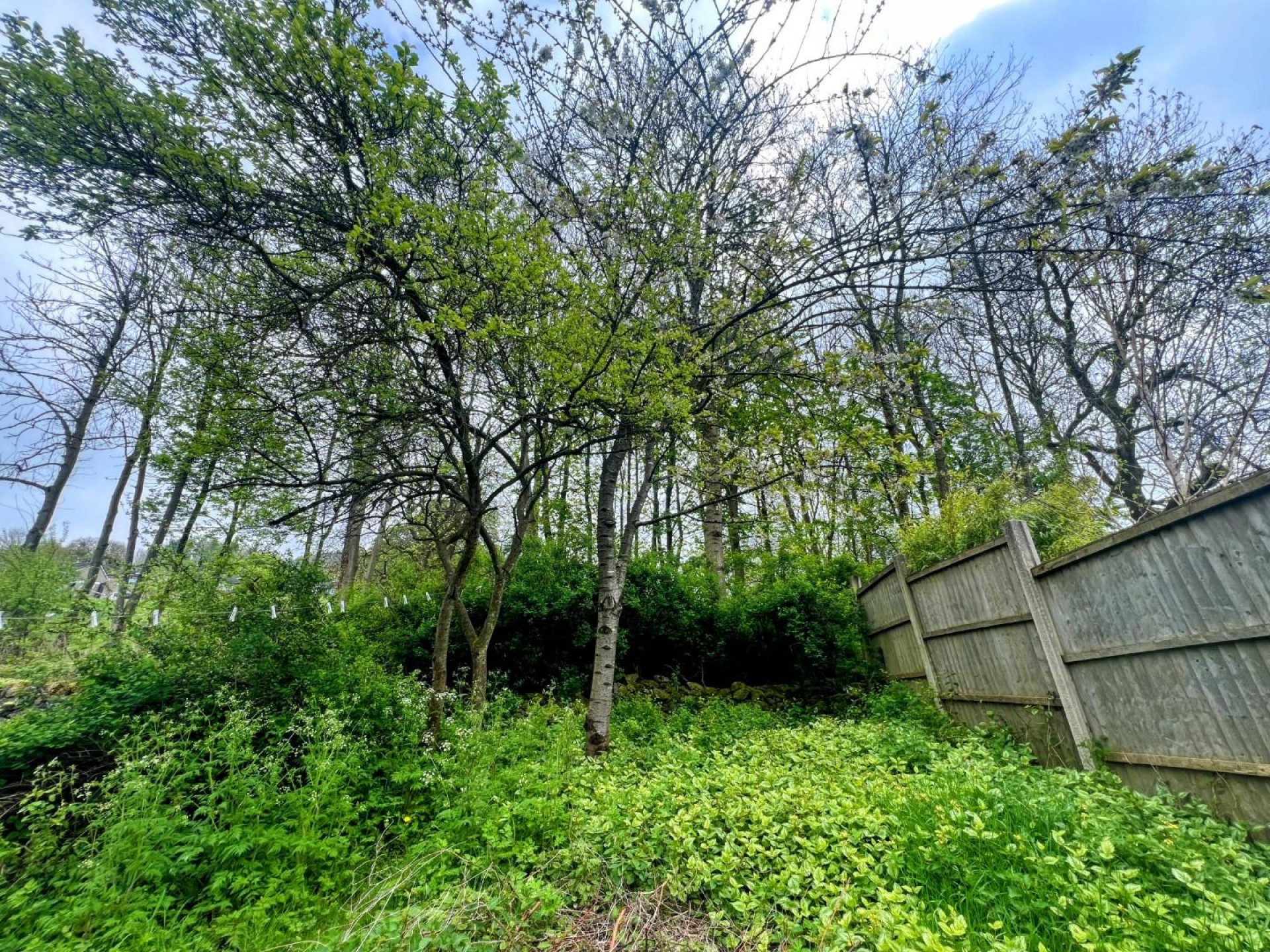 Images for Steeple Grange, Wirksworth