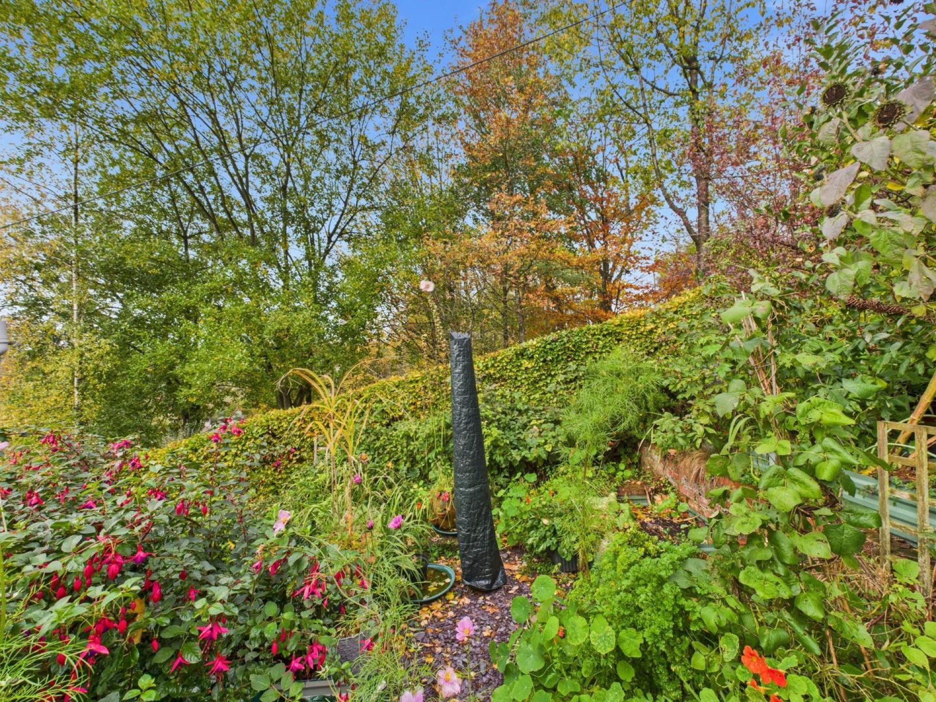 Images for The Lanes, Bolehill