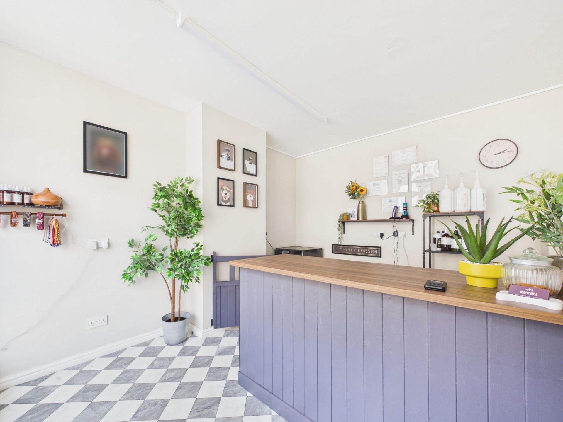 Images for Smedley Street East, & 92 Bank Road, DE4