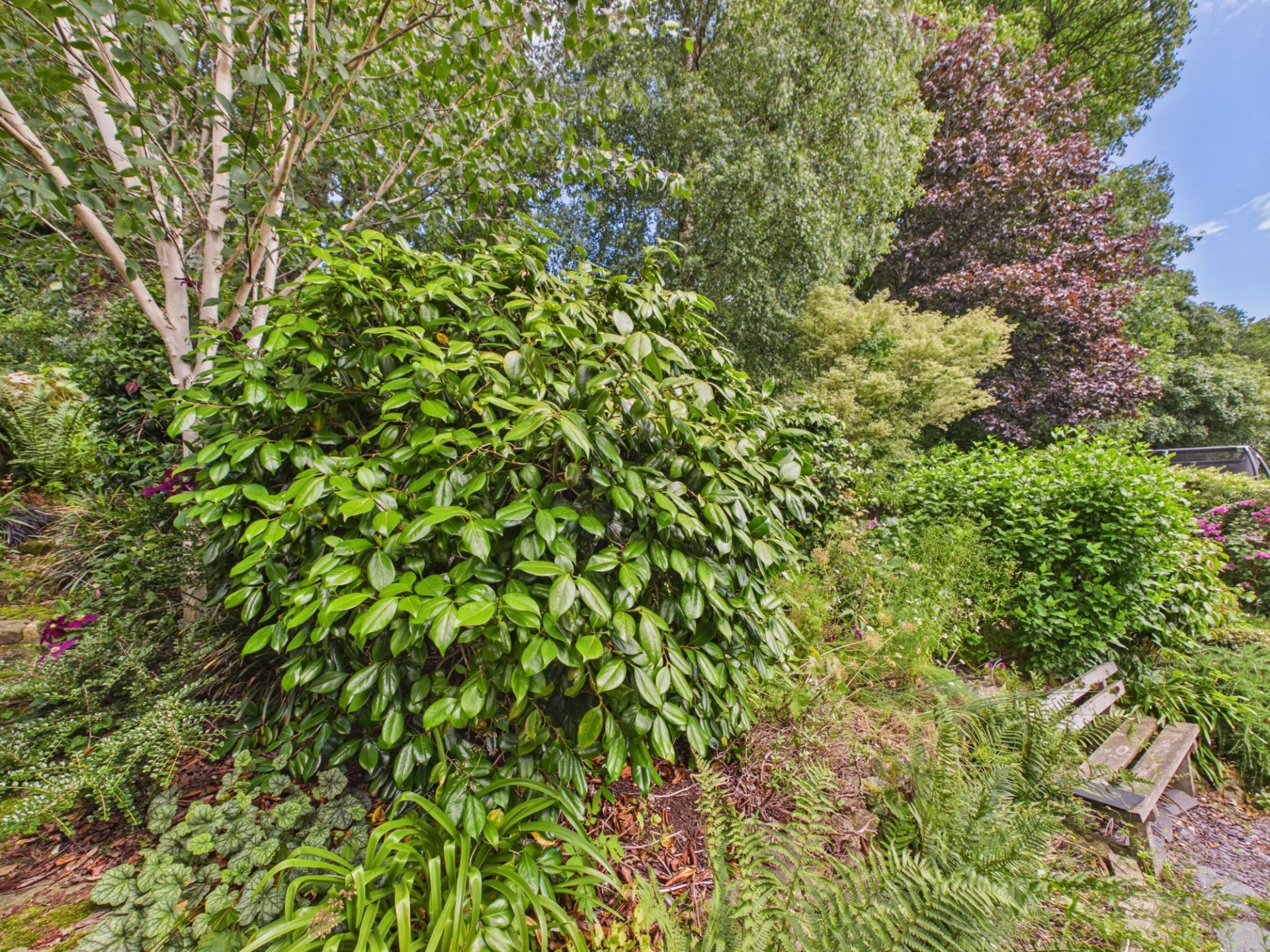 Images for Parkhead, Matlock, DE4